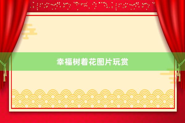 幸福树着花图片玩赏