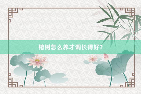 榕树怎么养才调长得好？